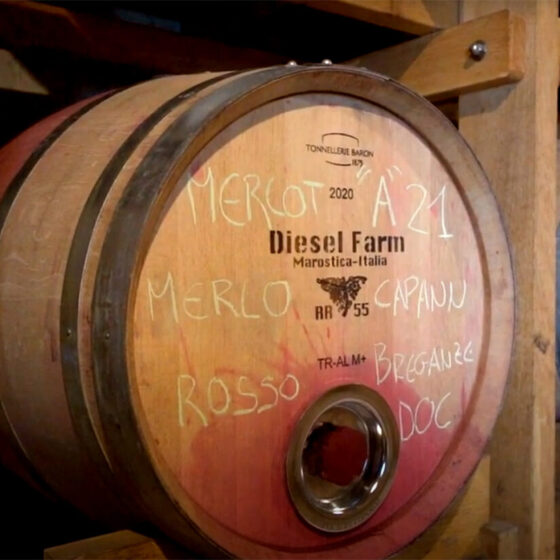 Fonte foto video su shop.dieselfarm.com, Parbleu WideSpirit