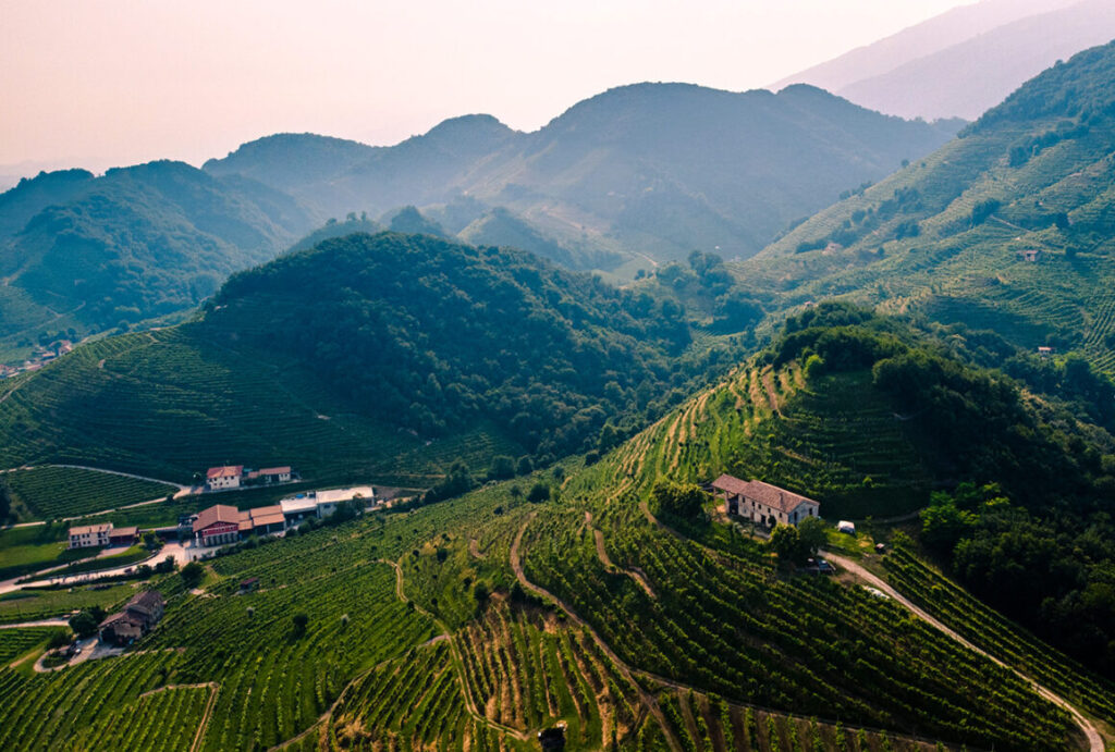 Fonte foto di Alberto Caliman su Unsplash, Marketing That Works, WideSpirit