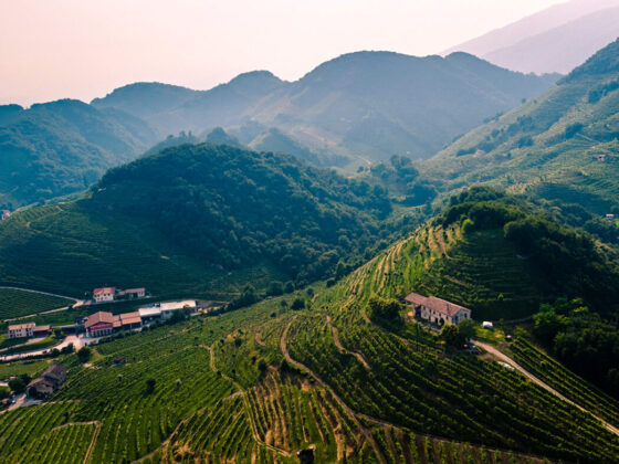 Fonte foto di Alberto Caliman su Unsplash, Marketing That Works, WideSpirit