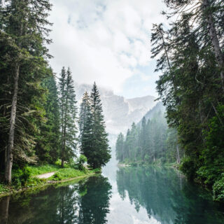 Fonte foto di Luca Bravo su Unsplash, Sostenibilità WideSpirit