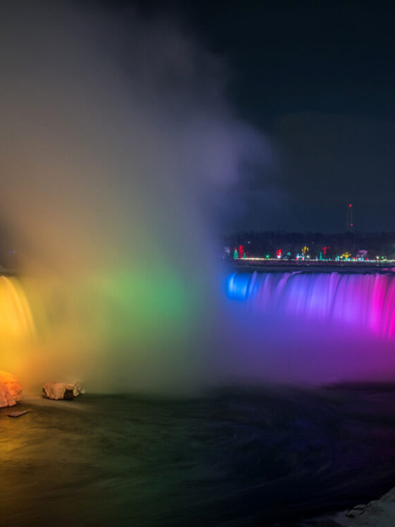 Fonte foto di Bryan Goff su Unsplash, Mercato WideSpirit