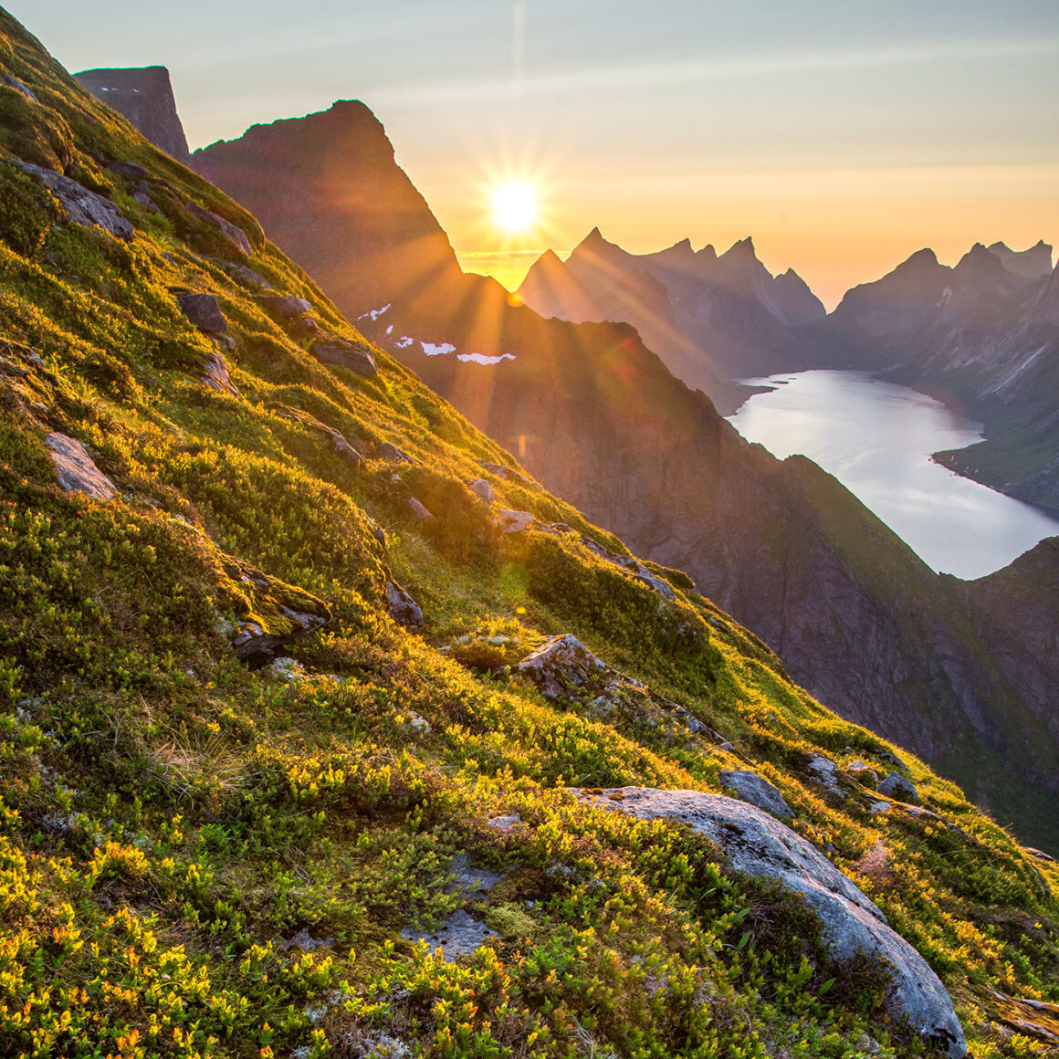 Fonte foto di Luke Richardson su Unsplash, Sostenibilita WideSpirit