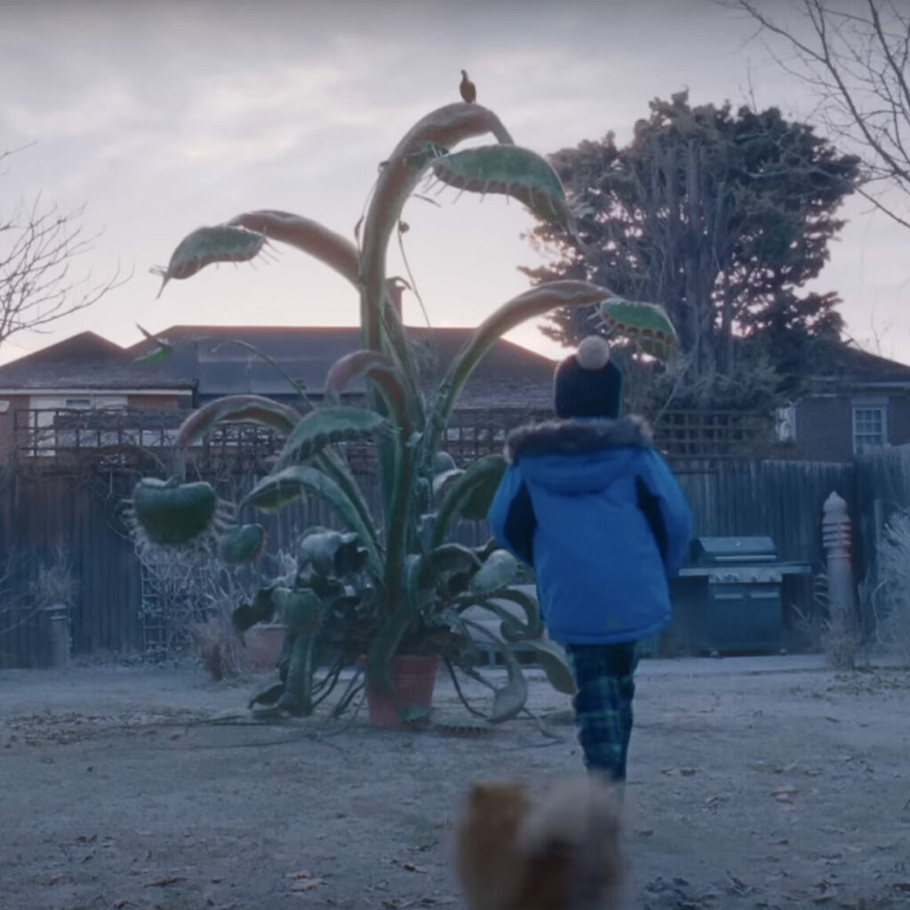 Fonte immagine Snapper- The Perfect Tree | John Lewis & Partners | Christmas Ad 2023 YouTube, Che Comunicazione WideSpirit