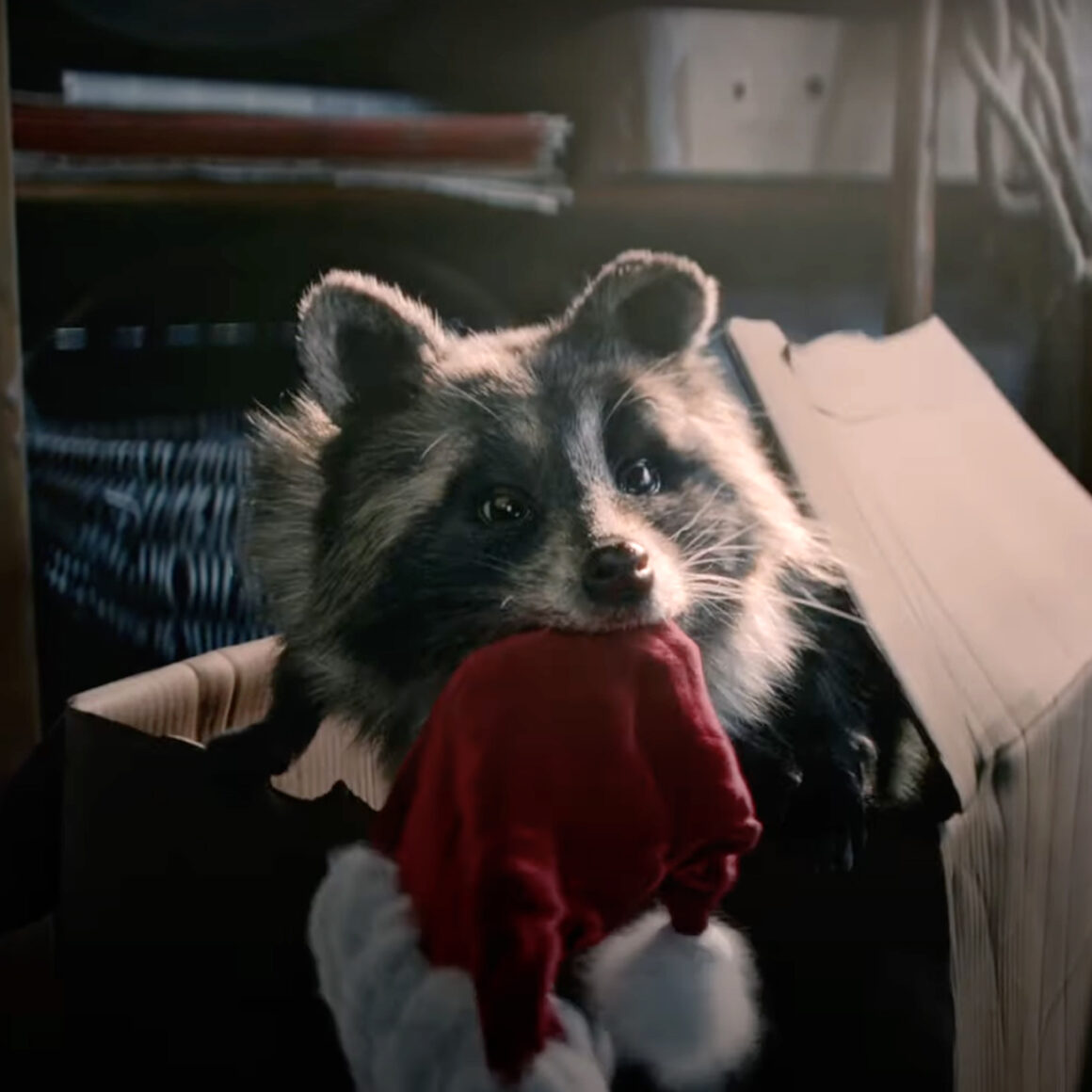 Fonte immagine A Magical Christmas with Lidl’s Christmas TV Adver (YouTube), MKTG WideSpirit