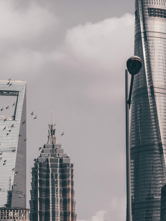 Fonte foto di Kin Li su Unsplash, Mercato WideSpirit