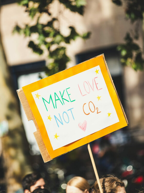 Fonte Foto di Markus Spiske su Unsplash, Sostenibilita WideSpirit